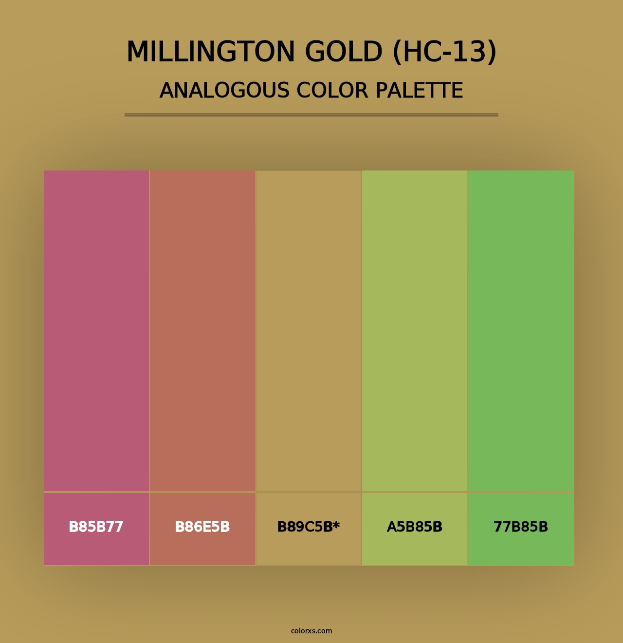 Millington Gold (HC-13) - Analogous Color Palette