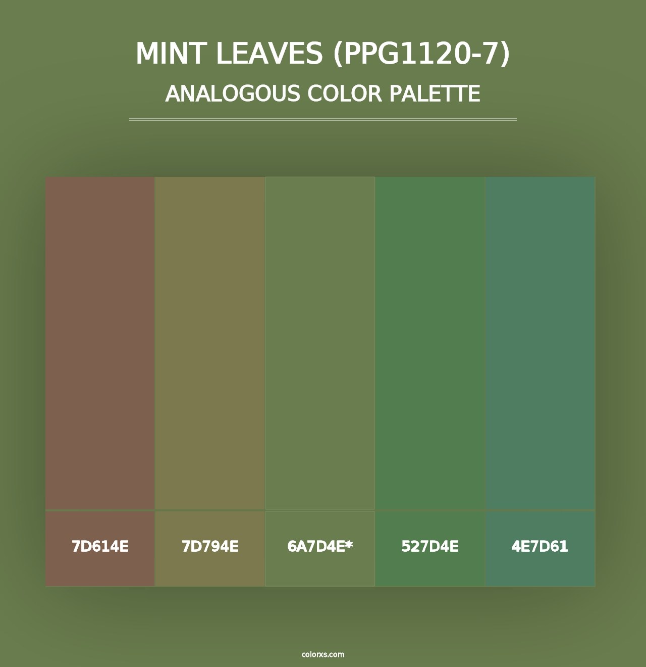 Mint Leaves (PPG1120-7) - Analogous Color Palette