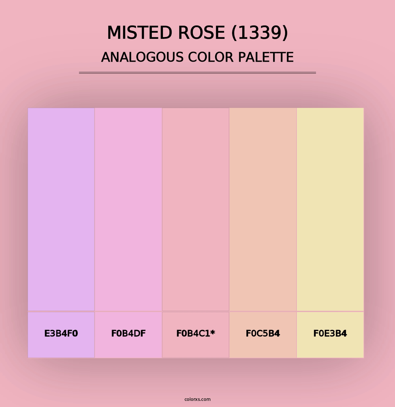 Misted Rose (1339) - Analogous Color Palette