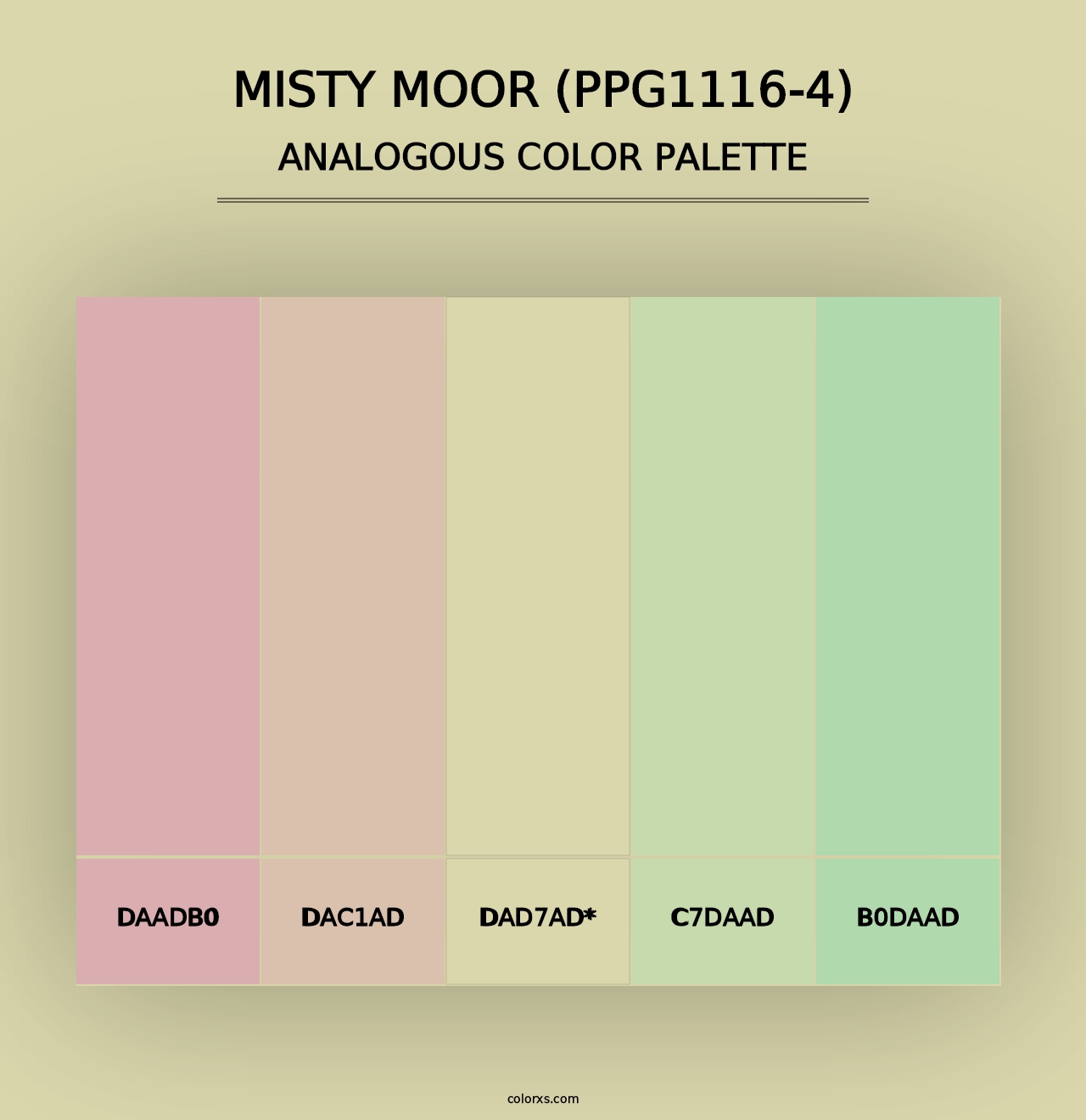 Misty Moor (PPG1116-4) - Analogous Color Palette