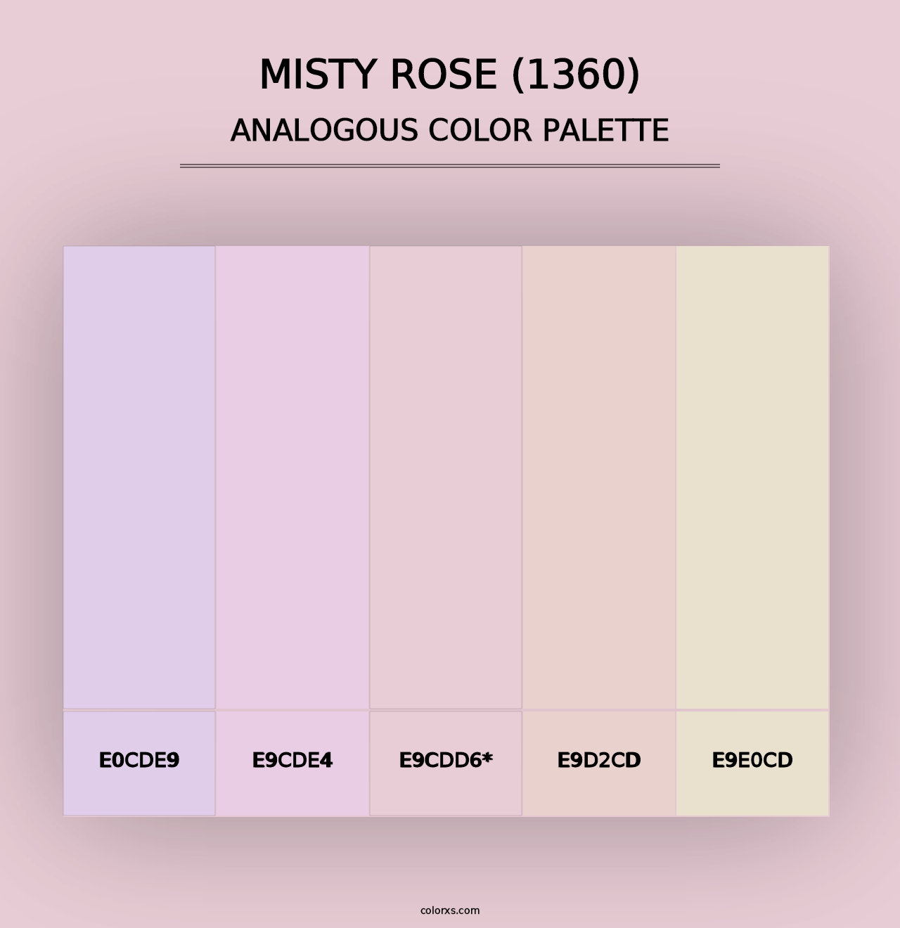 Misty Rose (1360) - Analogous Color Palette