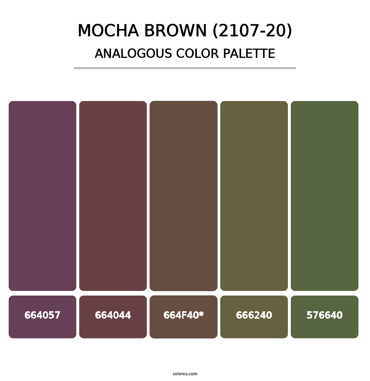 Mocha Brown (2107-20) - Analogous Color Palette