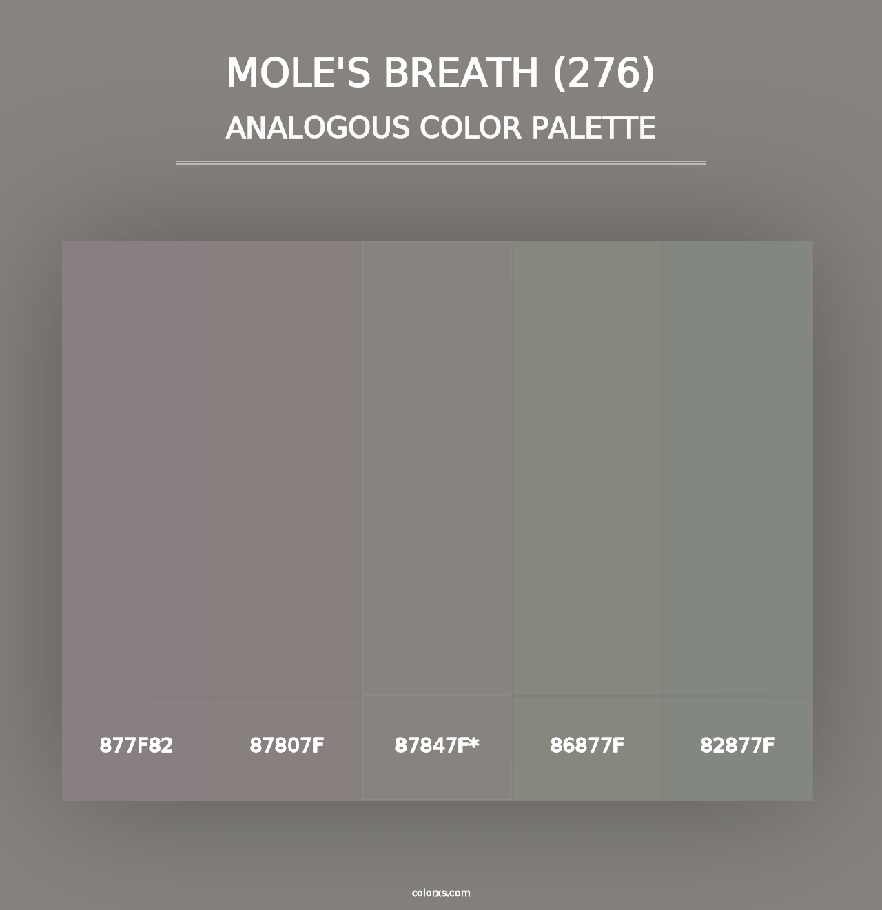 Mole's Breath (276) - Analogous Color Palette