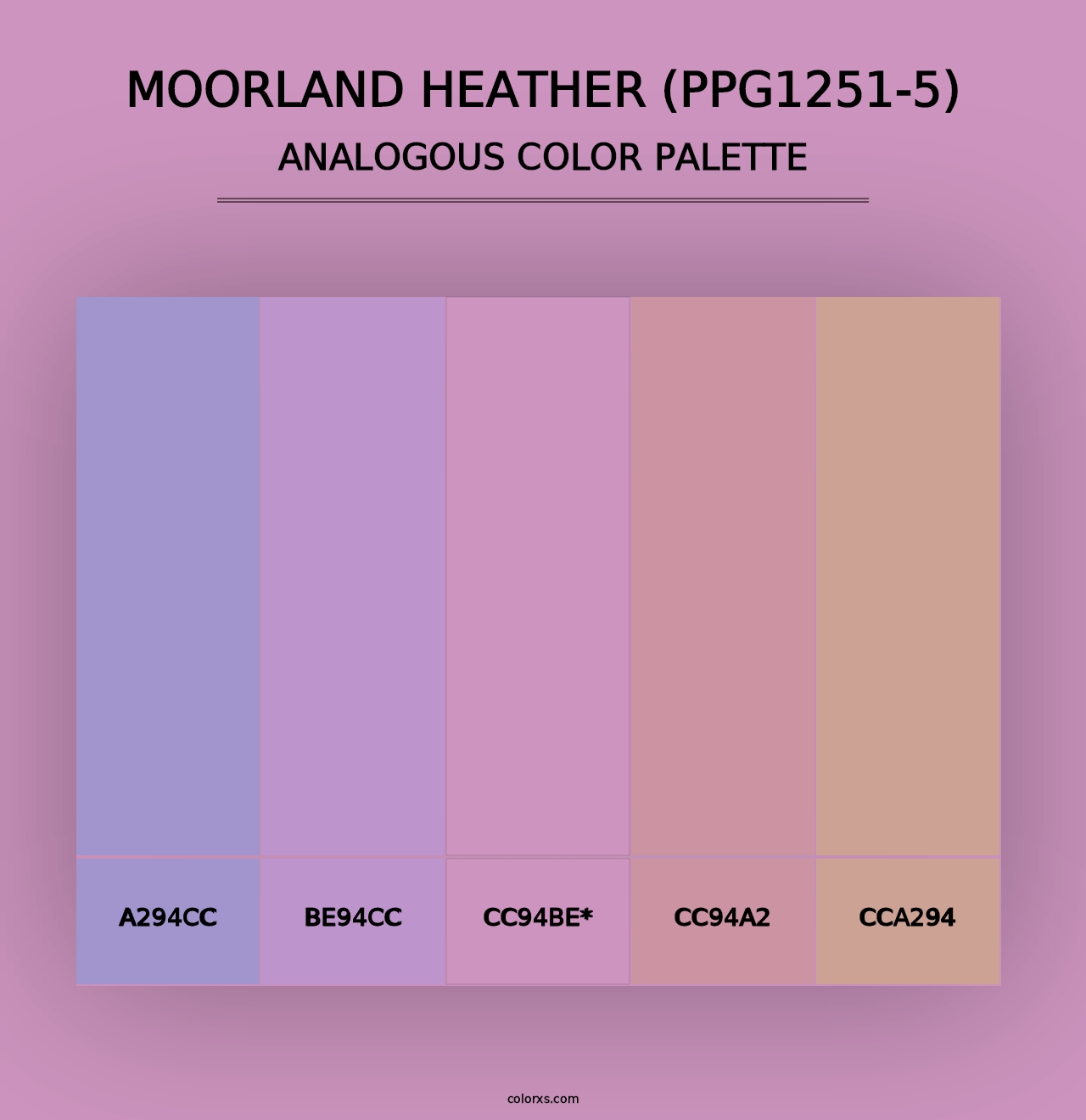 Moorland Heather (PPG1251-5) - Analogous Color Palette