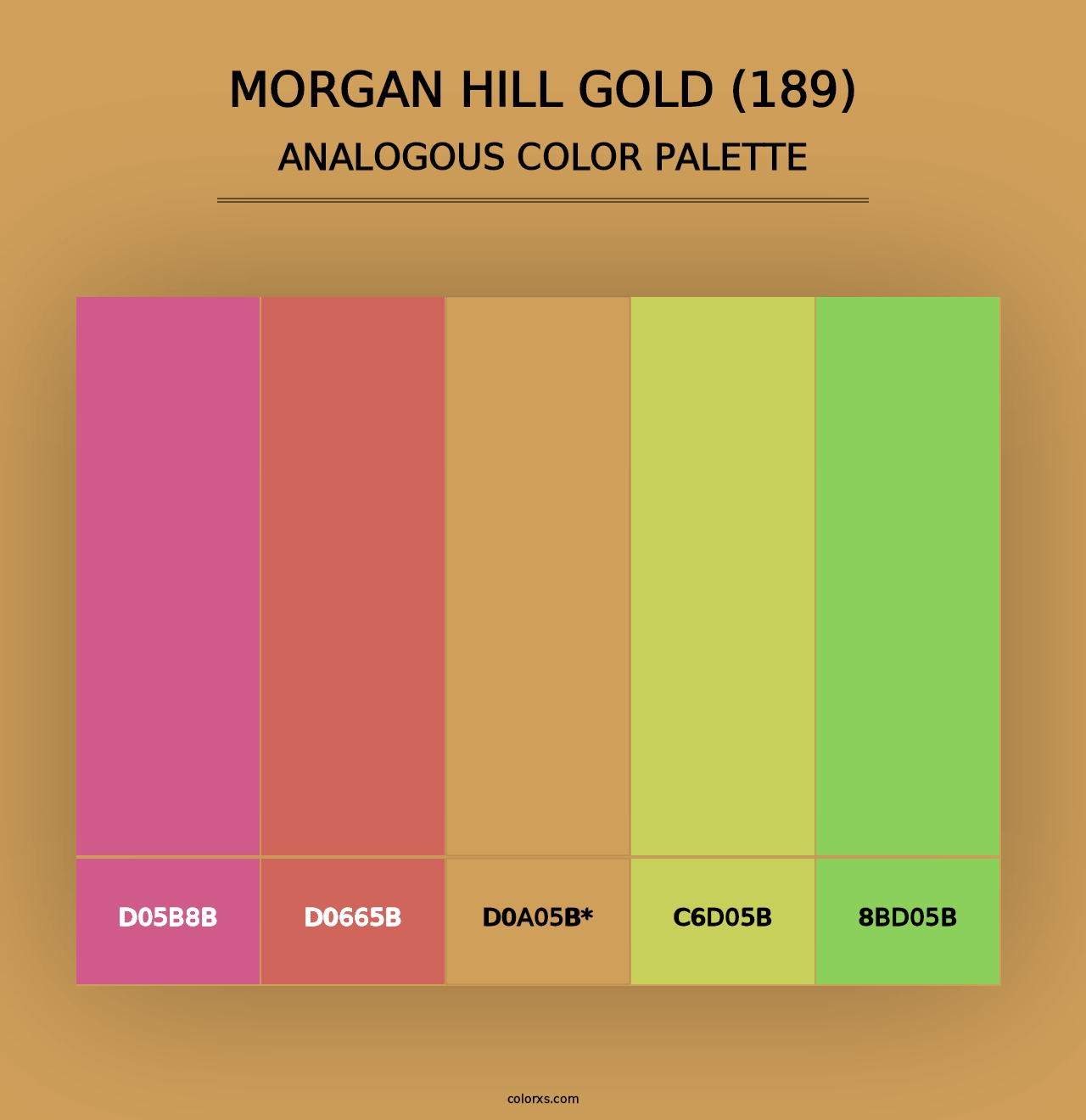 Morgan Hill Gold (189) - Analogous Color Palette