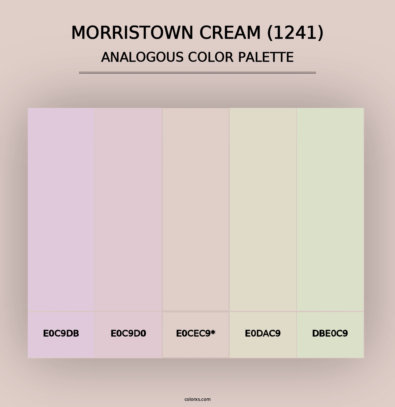 Morristown Cream (1241) - Analogous Color Palette