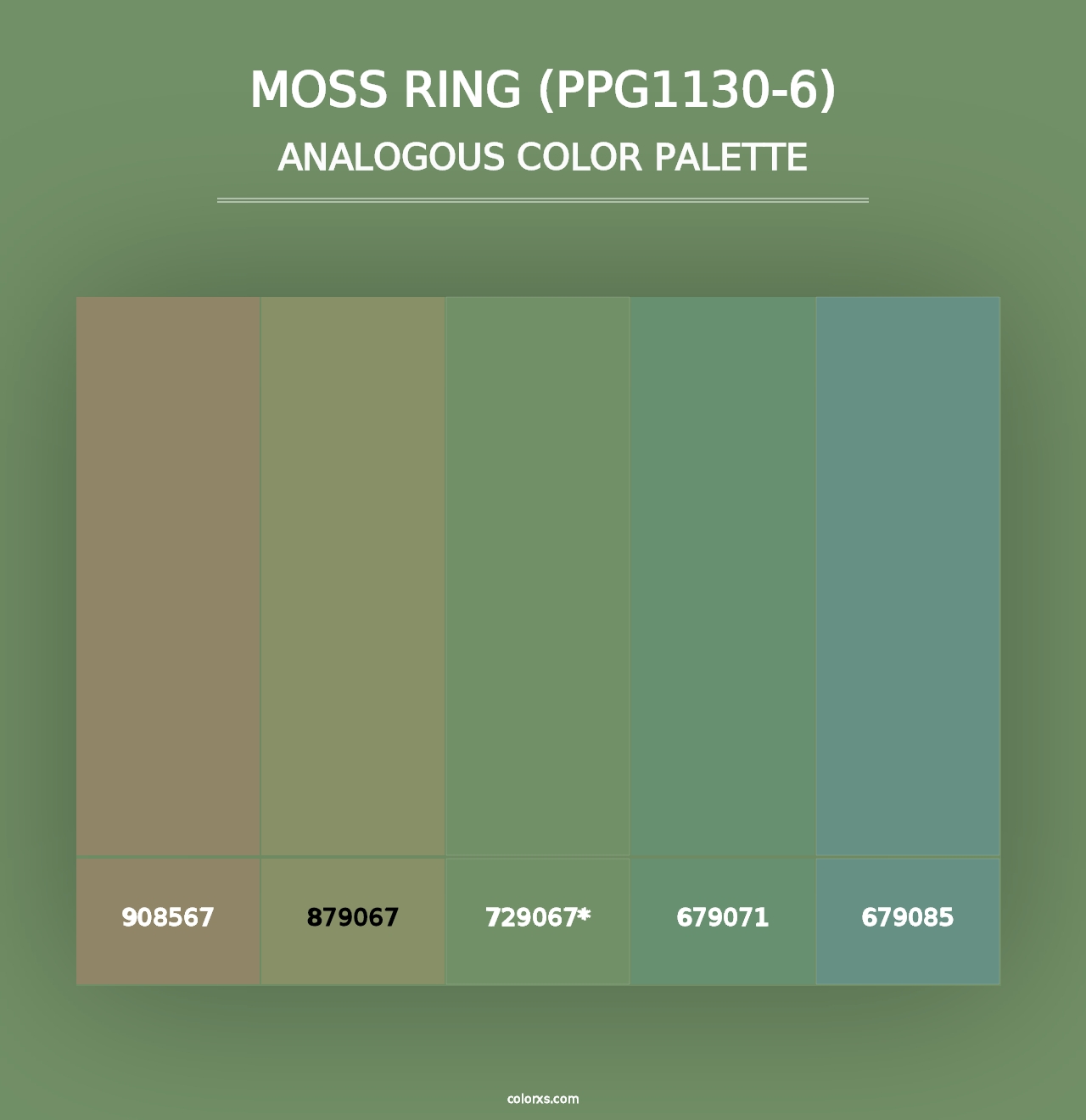 Moss Ring (PPG1130-6) - Analogous Color Palette