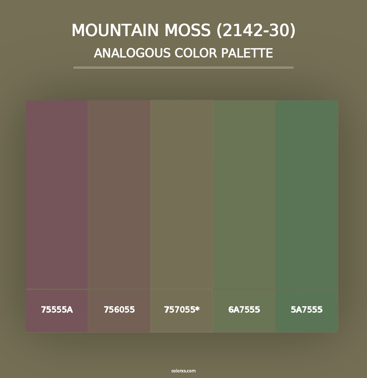 Mountain Moss (2142-30) - Analogous Color Palette