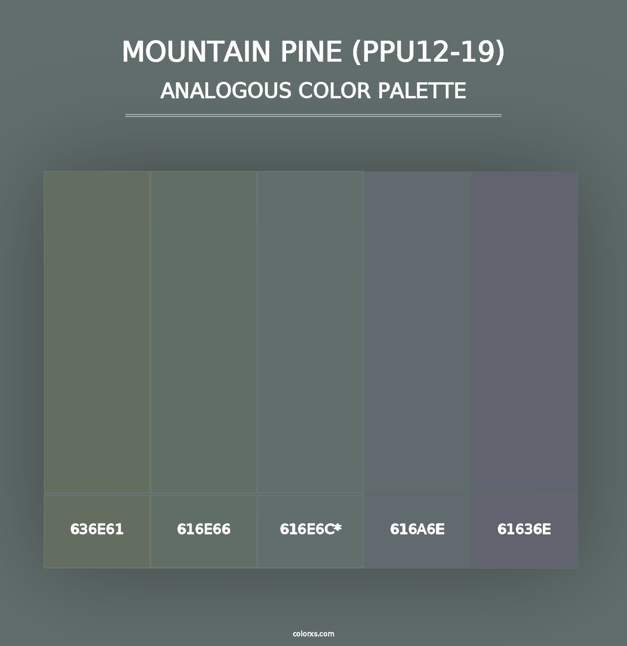 Mountain Pine (PPU12-19) - Analogous Color Palette