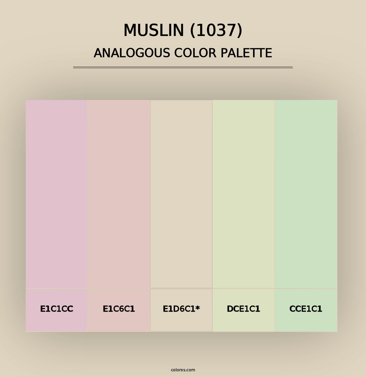 Muslin (1037) - Analogous Color Palette