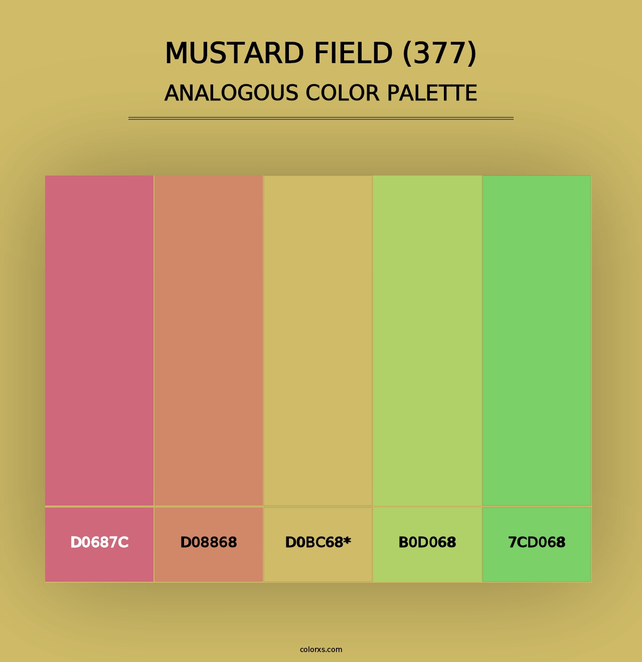 Mustard Field (377) - Analogous Color Palette