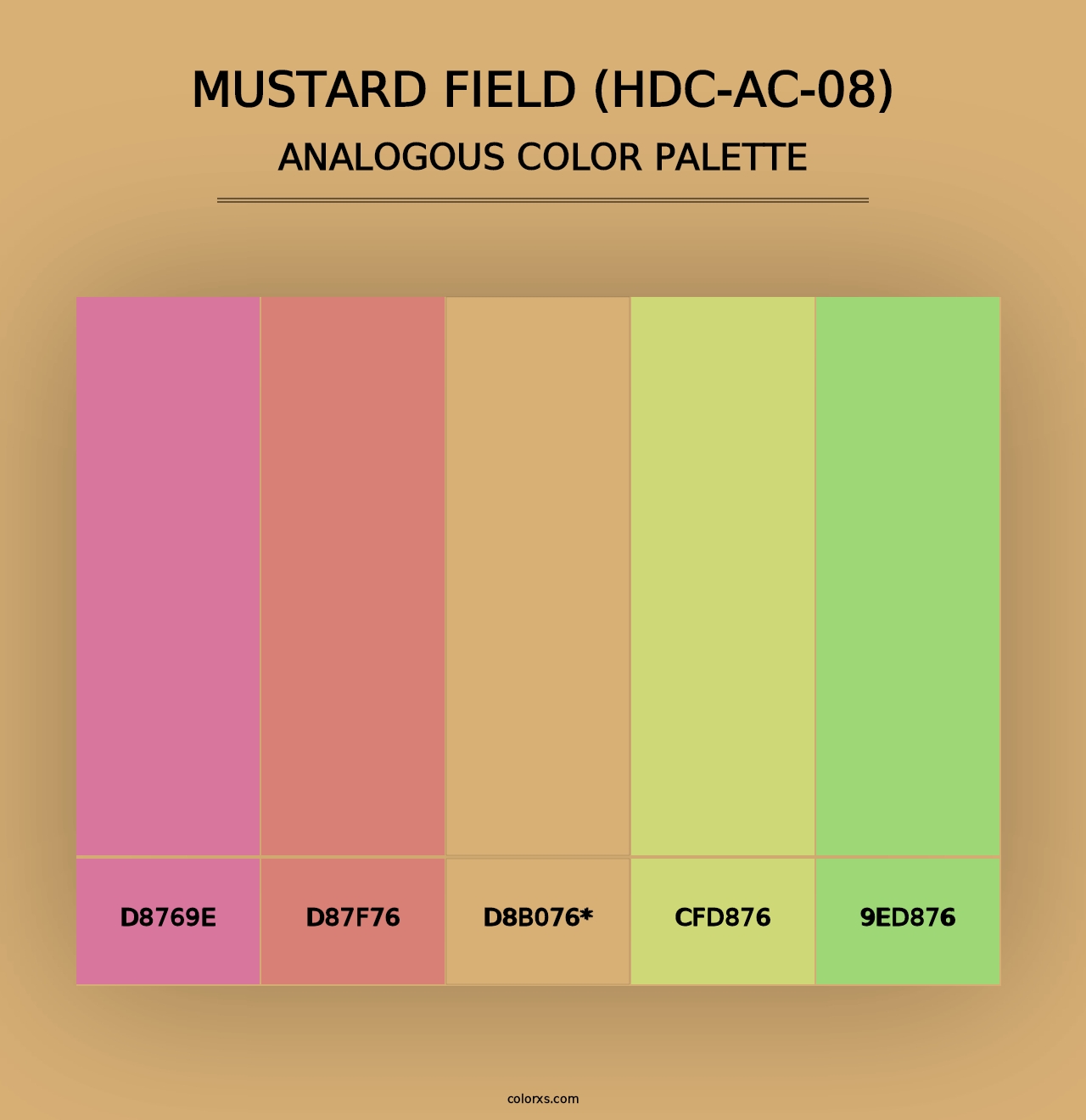 Mustard Field (HDC-AC-08) - Analogous Color Palette