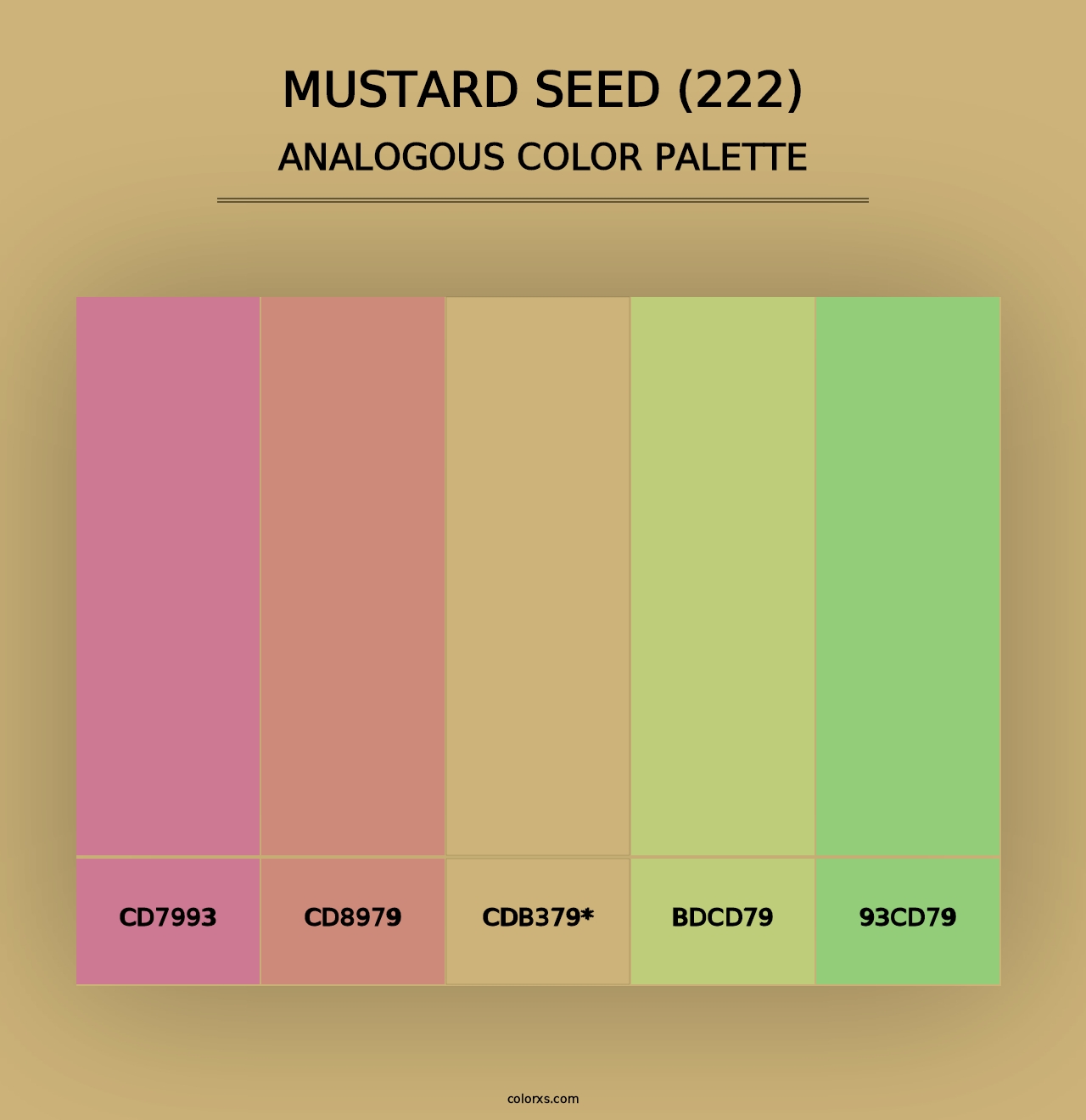 Mustard Seed (222) - Analogous Color Palette