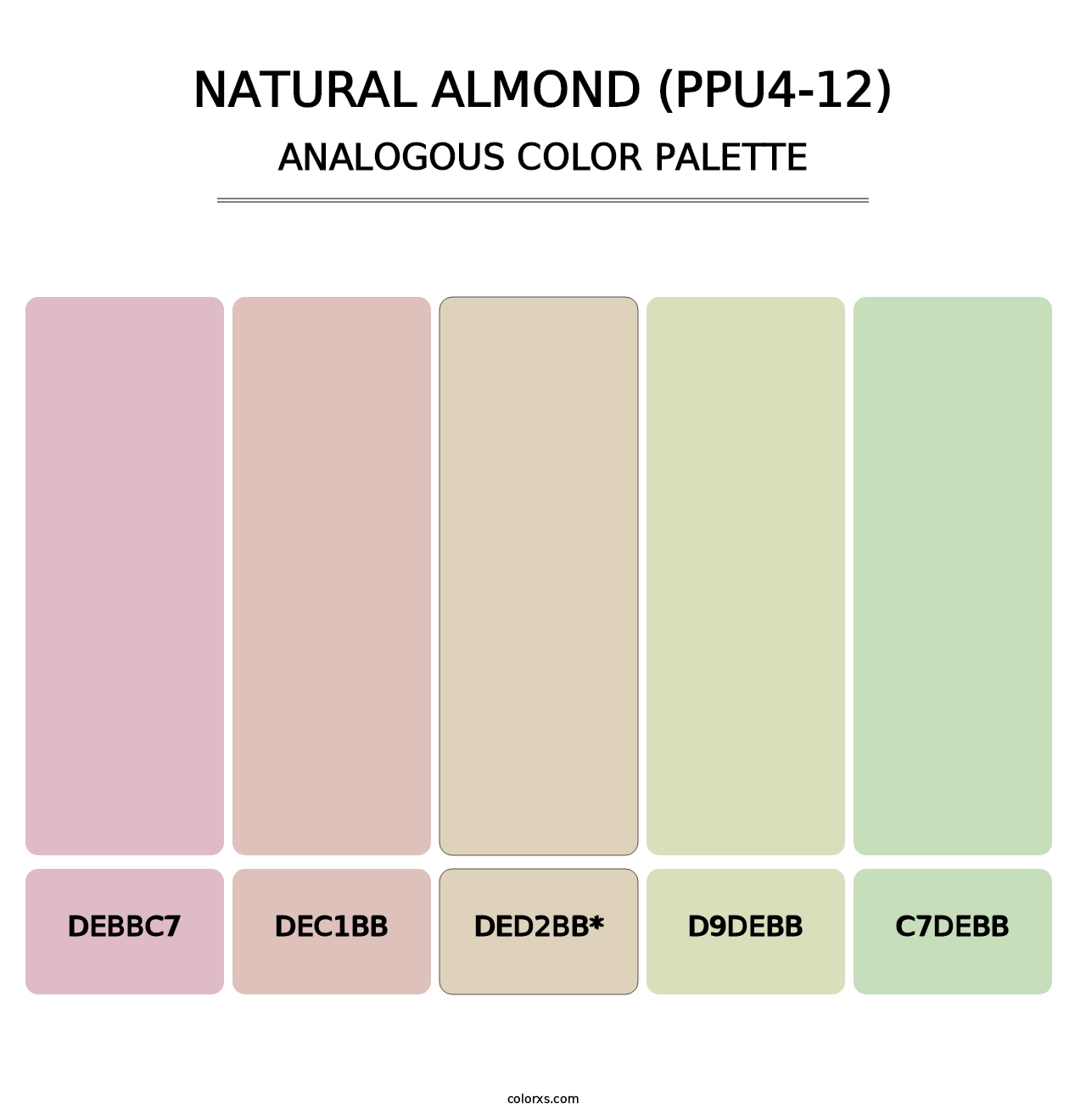 Natural Almond (PPU4-12) - Analogous Color Palette