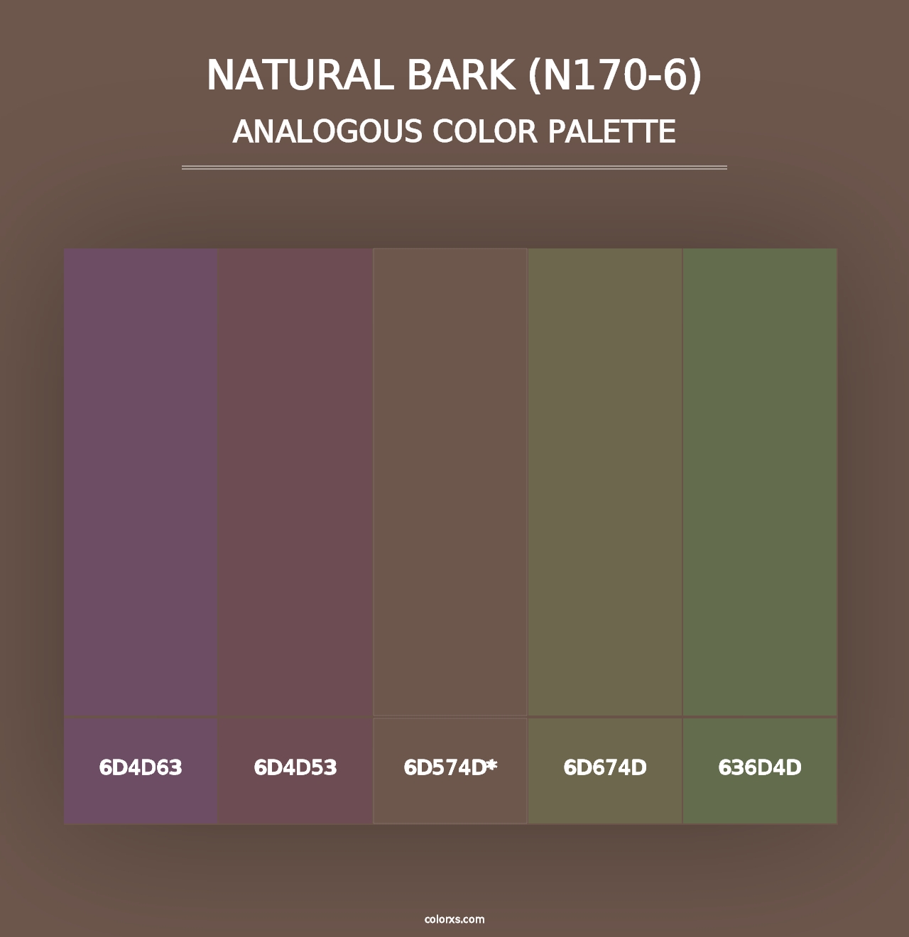 Natural Bark (N170-6) - Analogous Color Palette