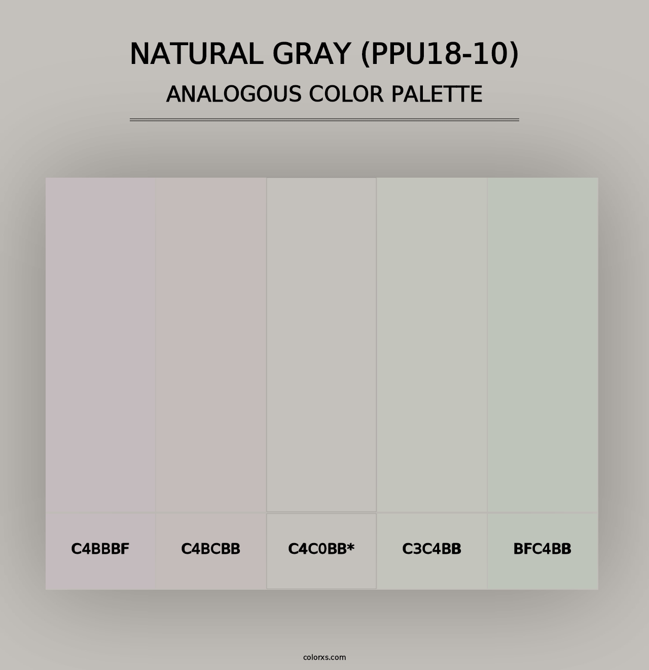 Natural Gray (PPU18-10) - Analogous Color Palette