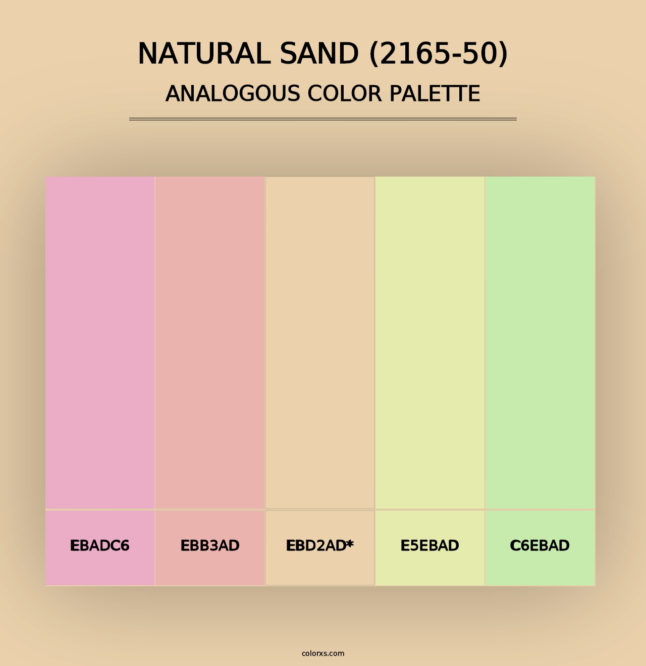 Natural Sand (2165-50) - Analogous Color Palette