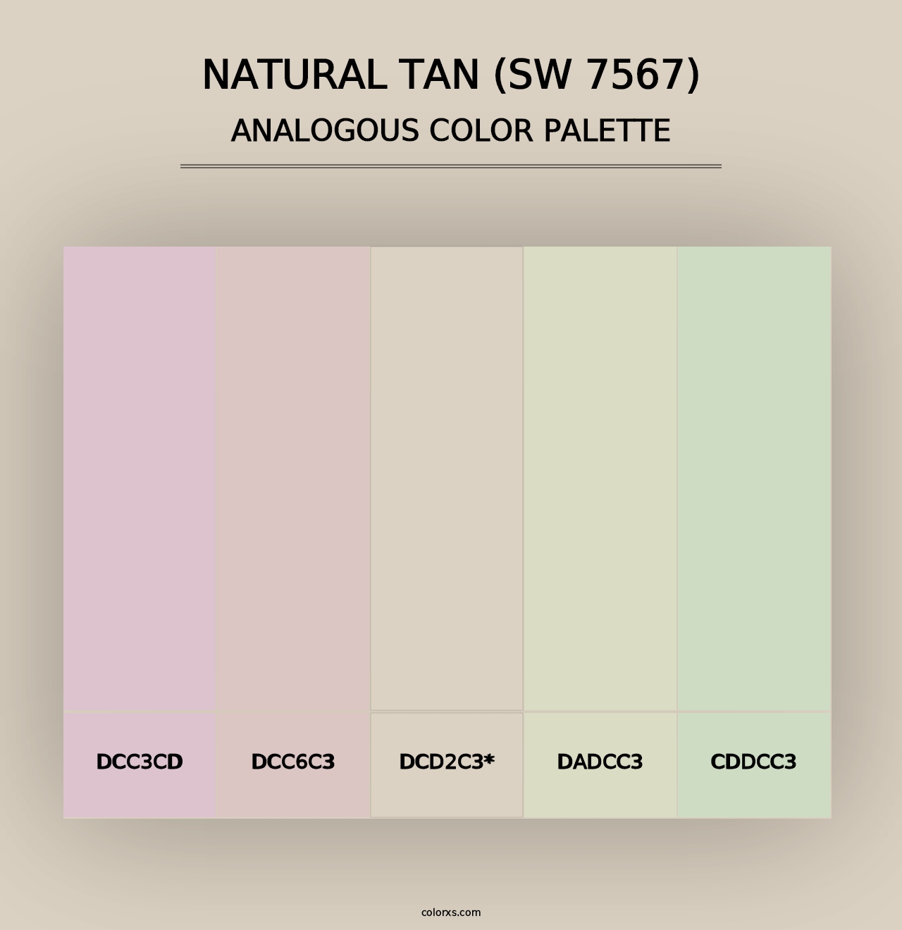 Natural Tan (SW 7567) - Analogous Color Palette