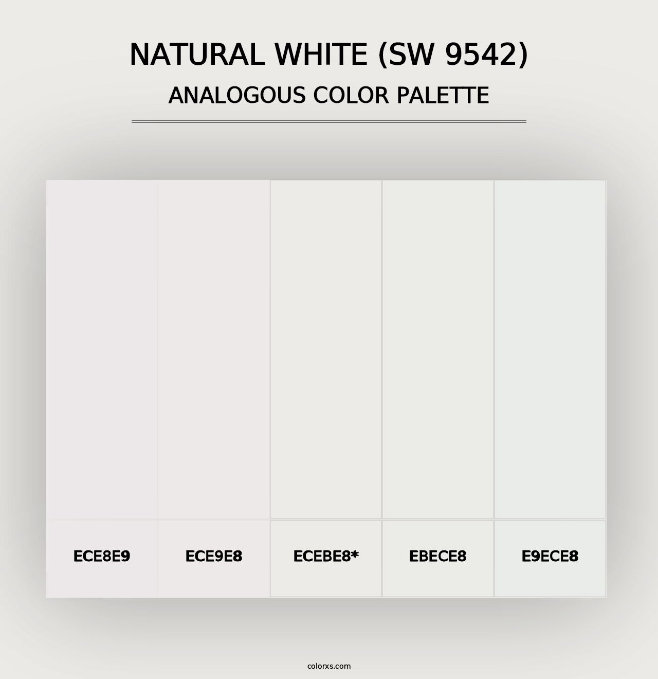 Natural White (SW 9542) - Analogous Color Palette