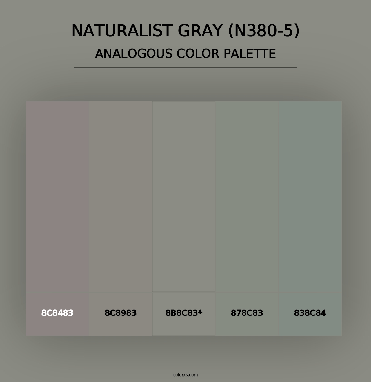 Naturalist Gray (N380-5) - Analogous Color Palette