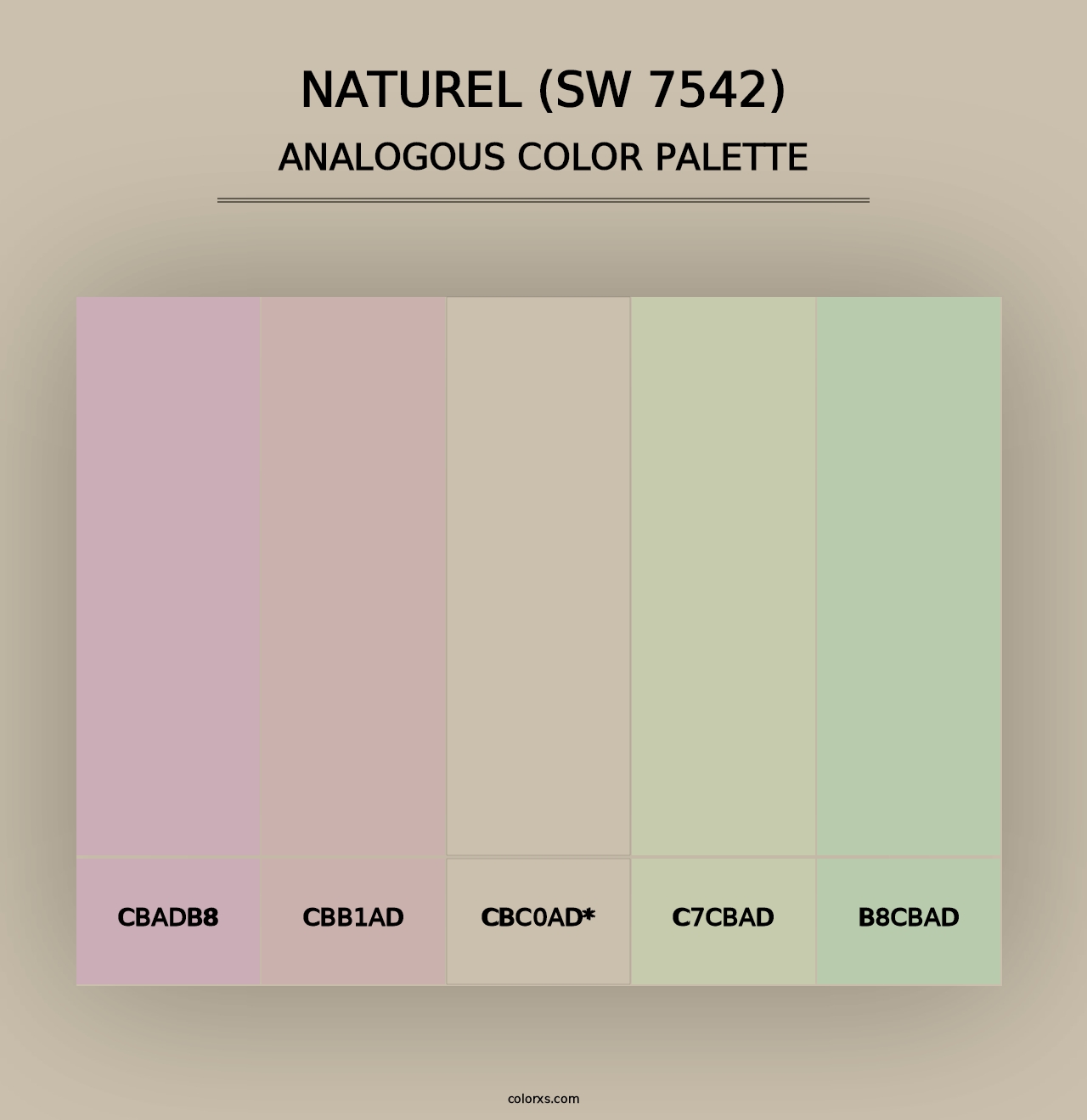 Naturel (SW 7542) - Analogous Color Palette