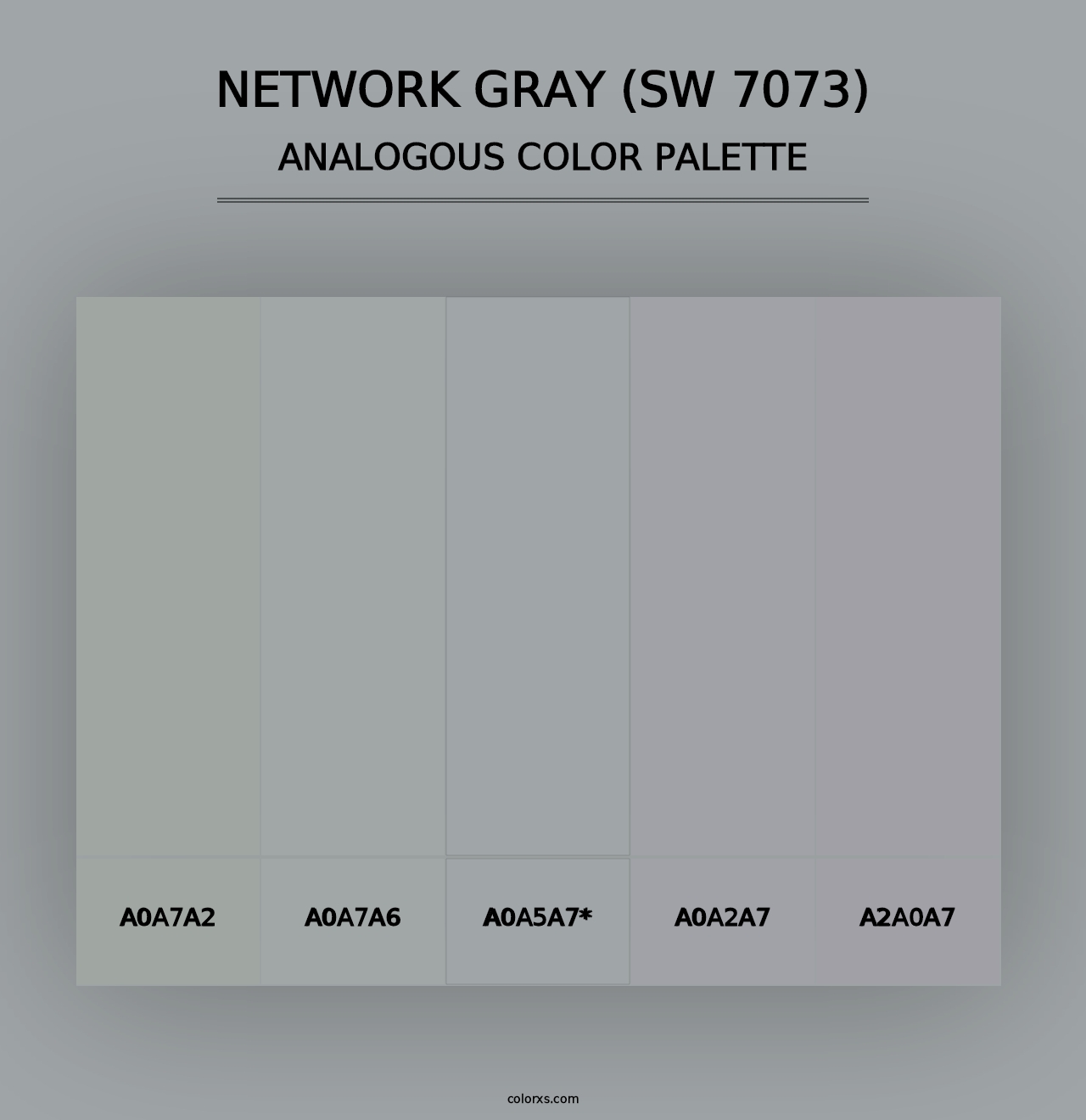 Network Gray (SW 7073) - Analogous Color Palette