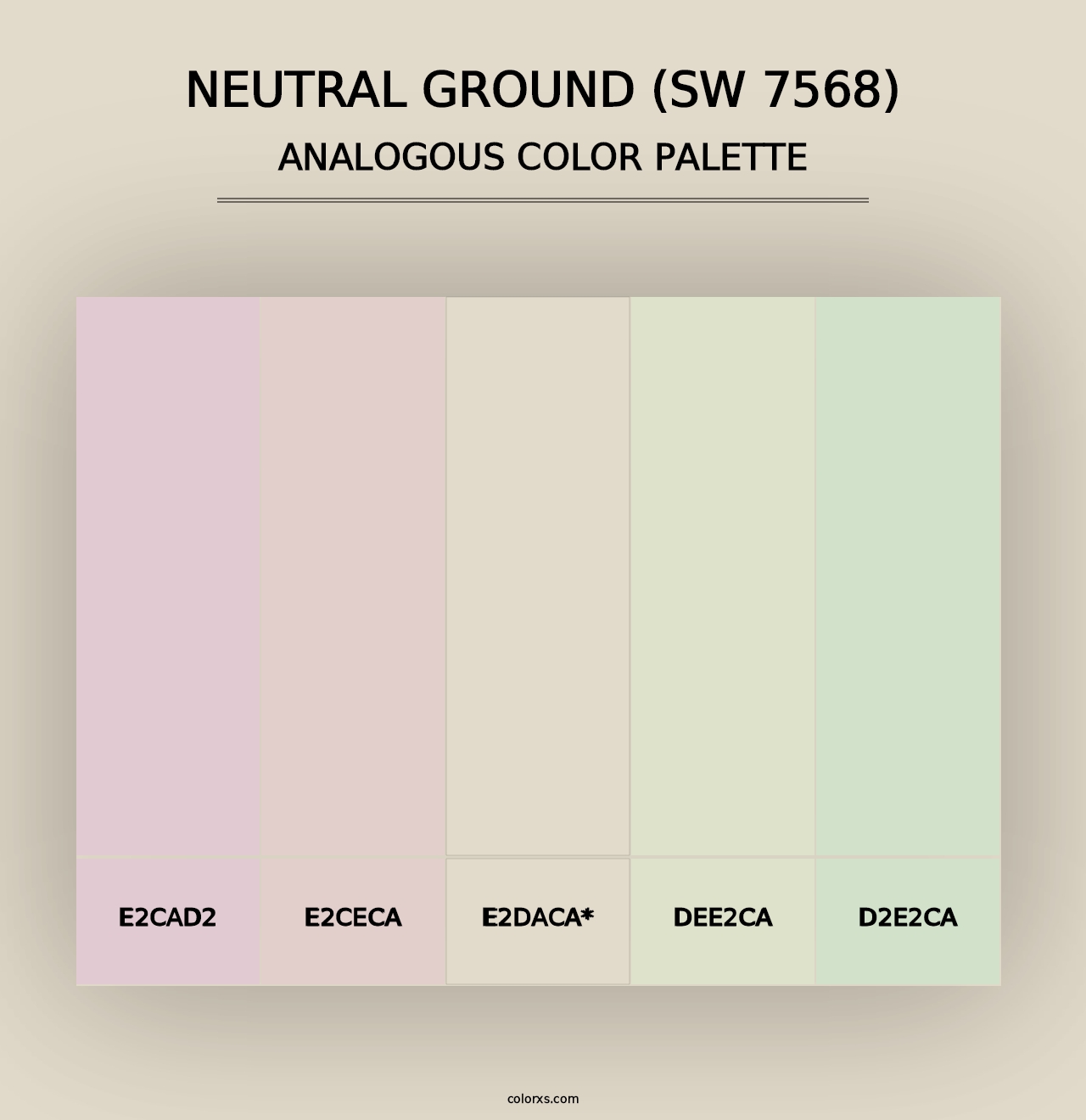 Neutral Ground (SW 7568) - Analogous Color Palette