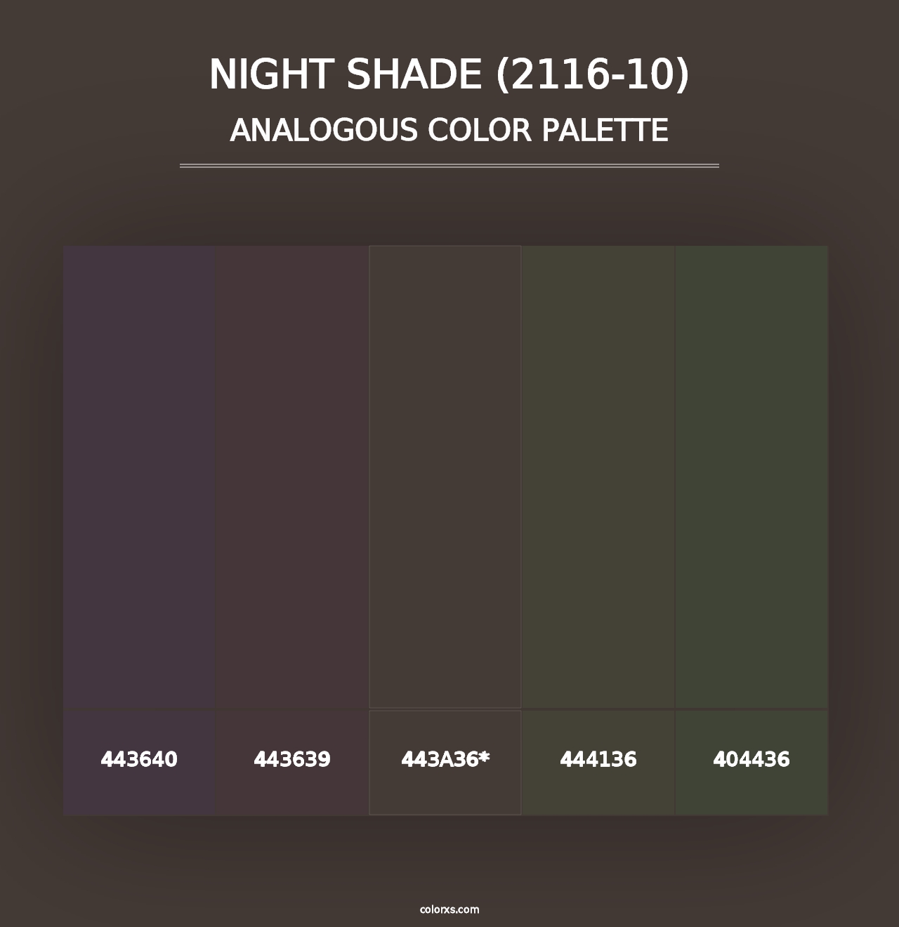 Night Shade (2116-10) - Analogous Color Palette