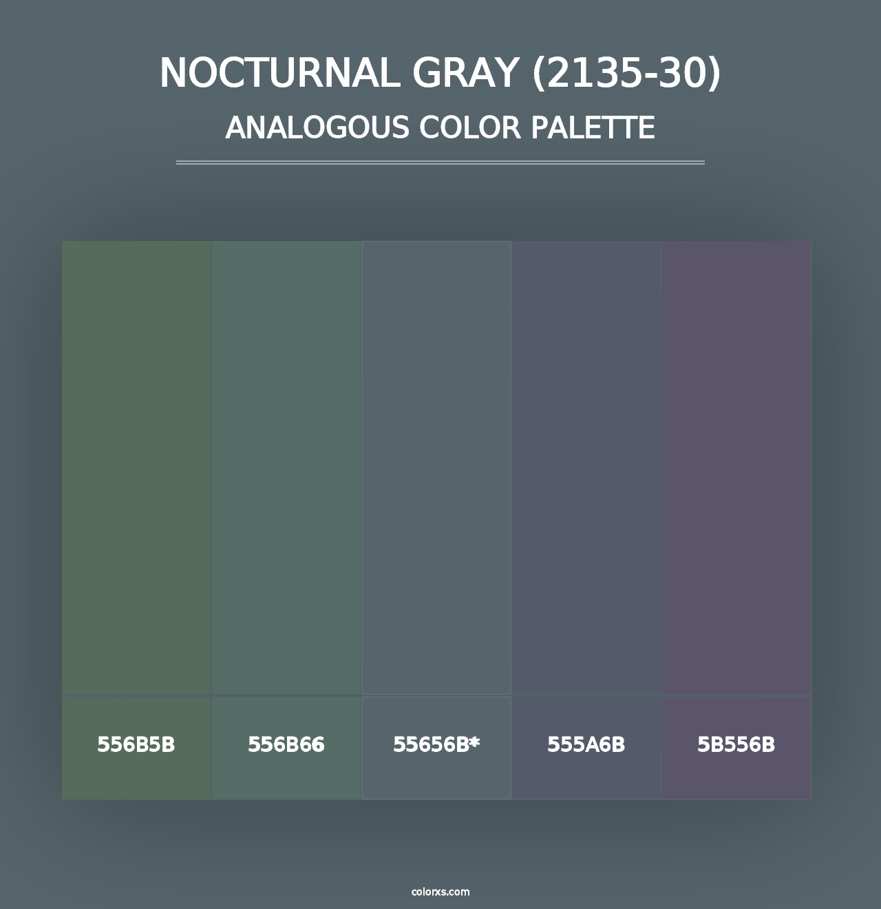 Nocturnal Gray (2135-30) - Analogous Color Palette