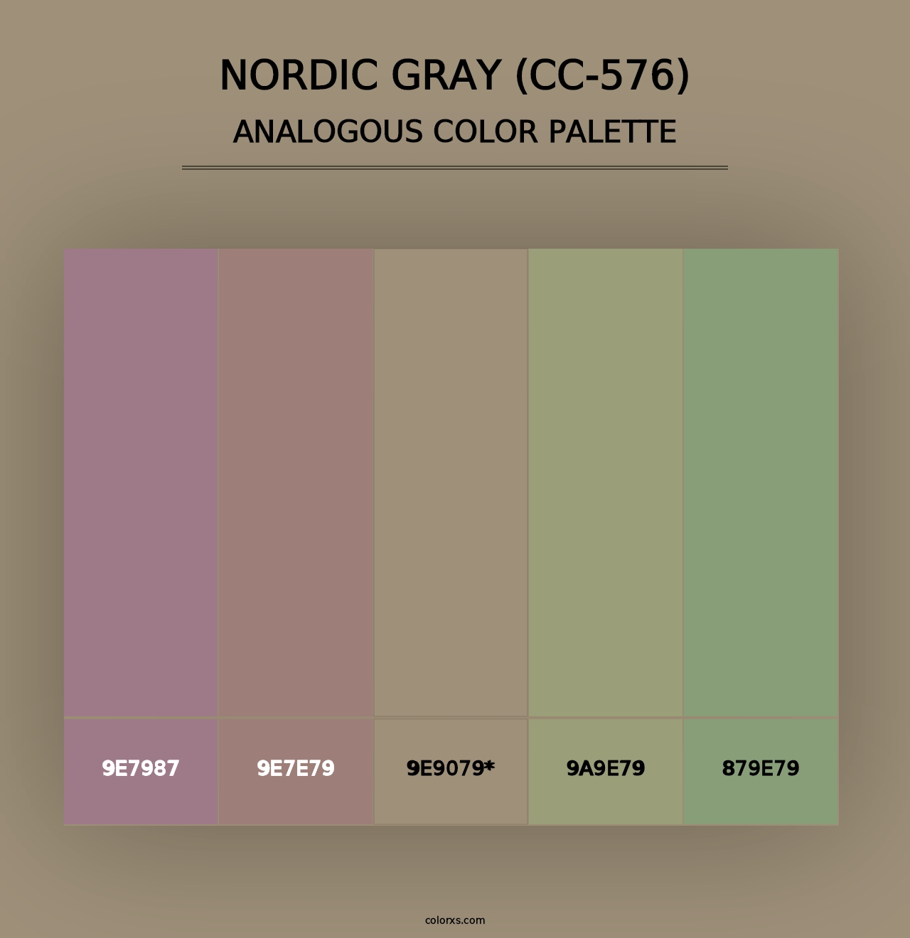 Nordic Gray (CC-576) - Analogous Color Palette