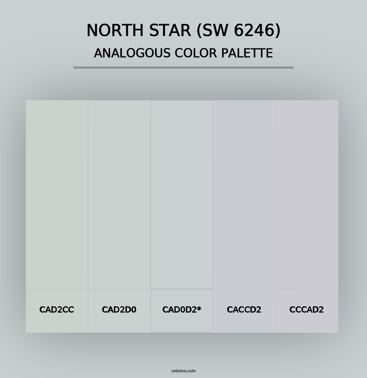 North Star (SW 6246) - Analogous Color Palette