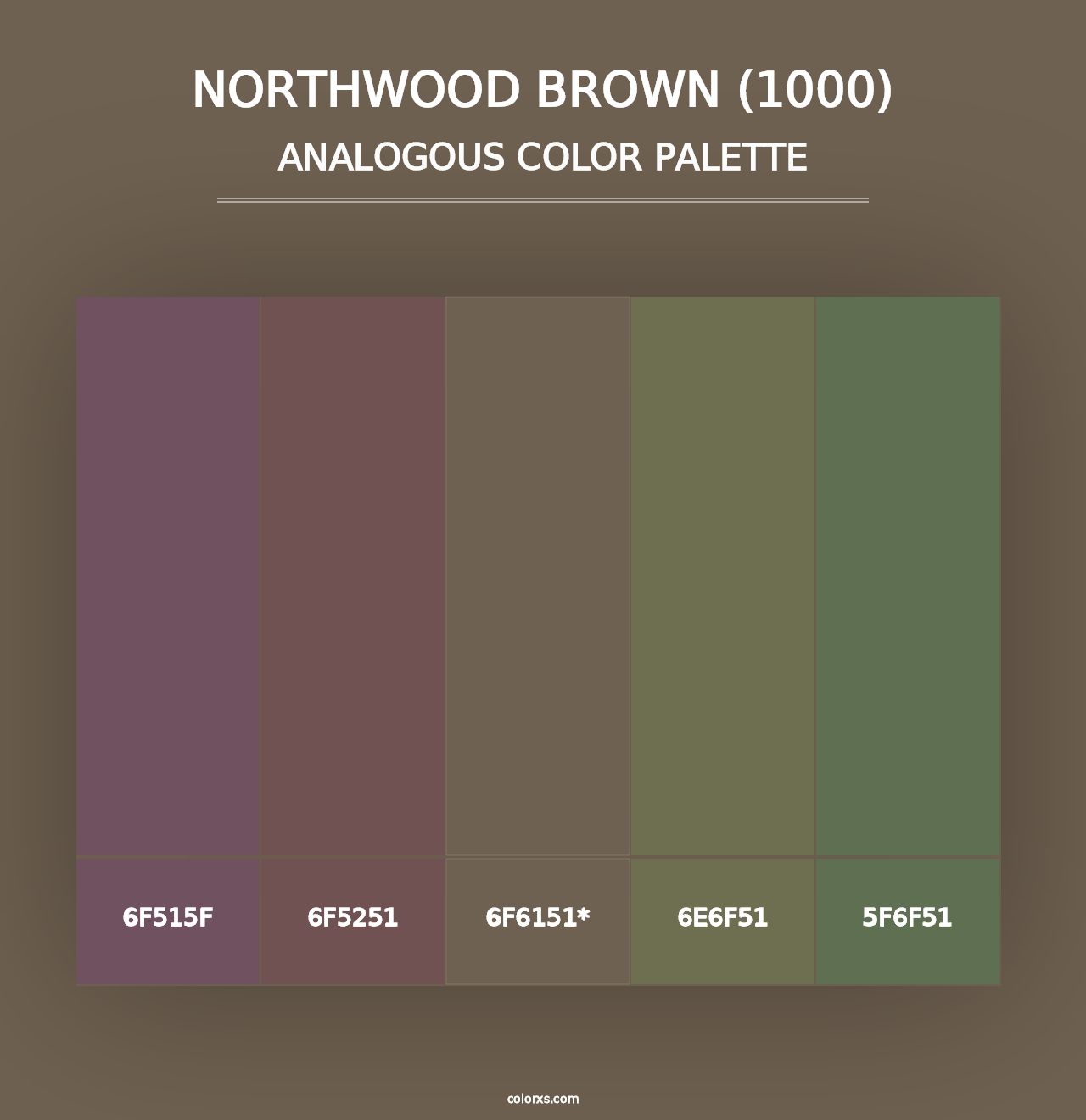 Northwood Brown (1000) - Analogous Color Palette