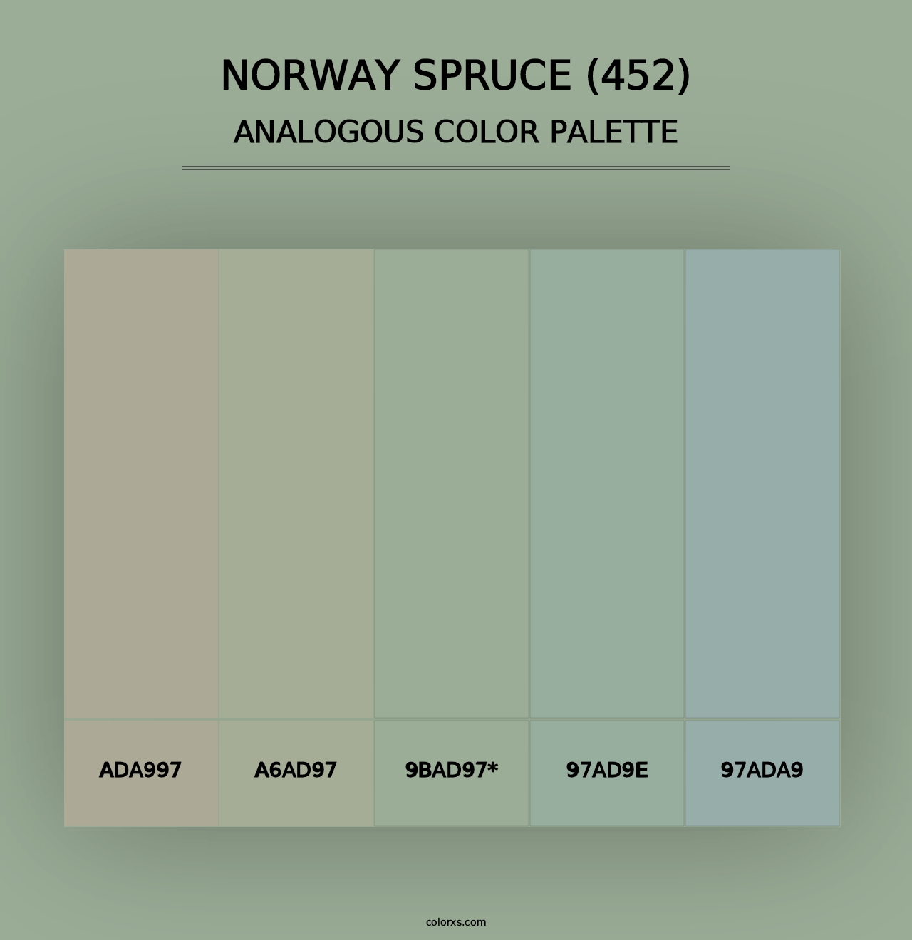 Norway Spruce (452) - Analogous Color Palette