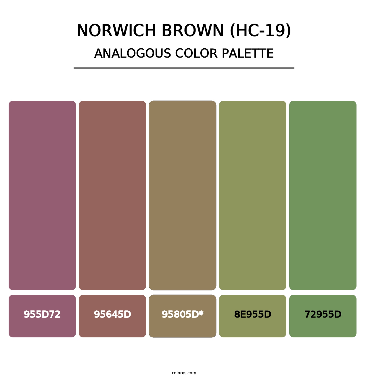 Norwich Brown (HC-19) - Analogous Color Palette