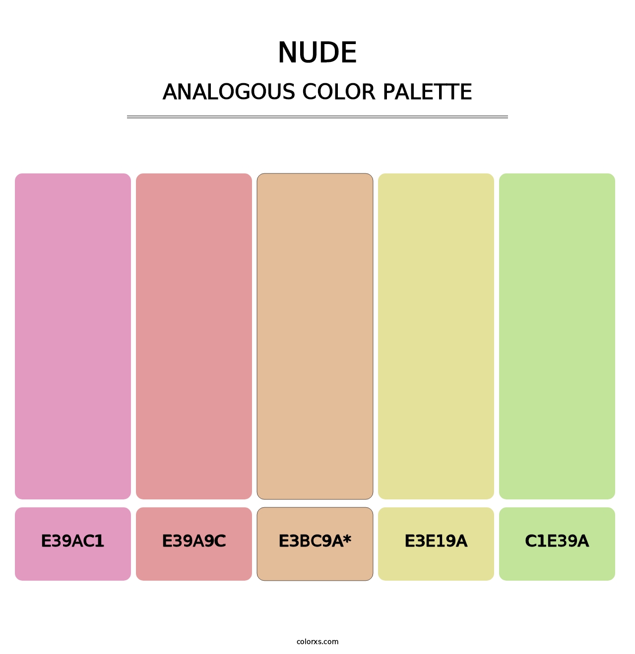 Nude Color Palettes Colorxs Com