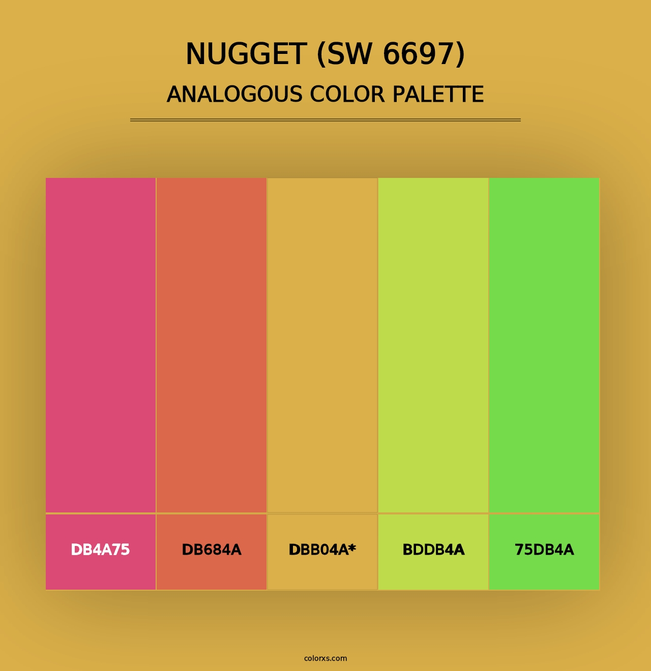 Nugget (SW 6697) - Analogous Color Palette