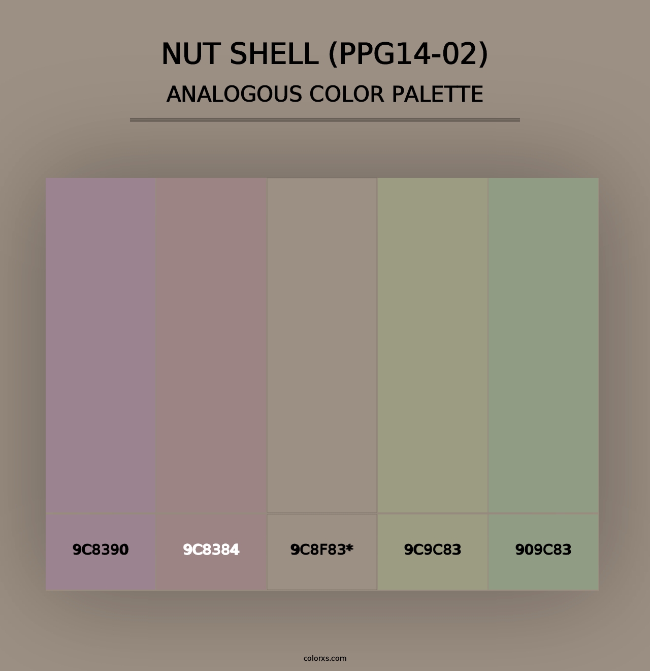 Nut Shell (PPG14-02) - Analogous Color Palette