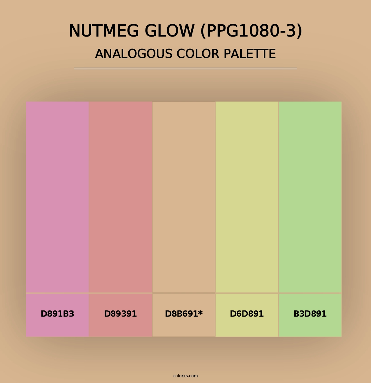 Nutmeg Glow (PPG1080-3) - Analogous Color Palette