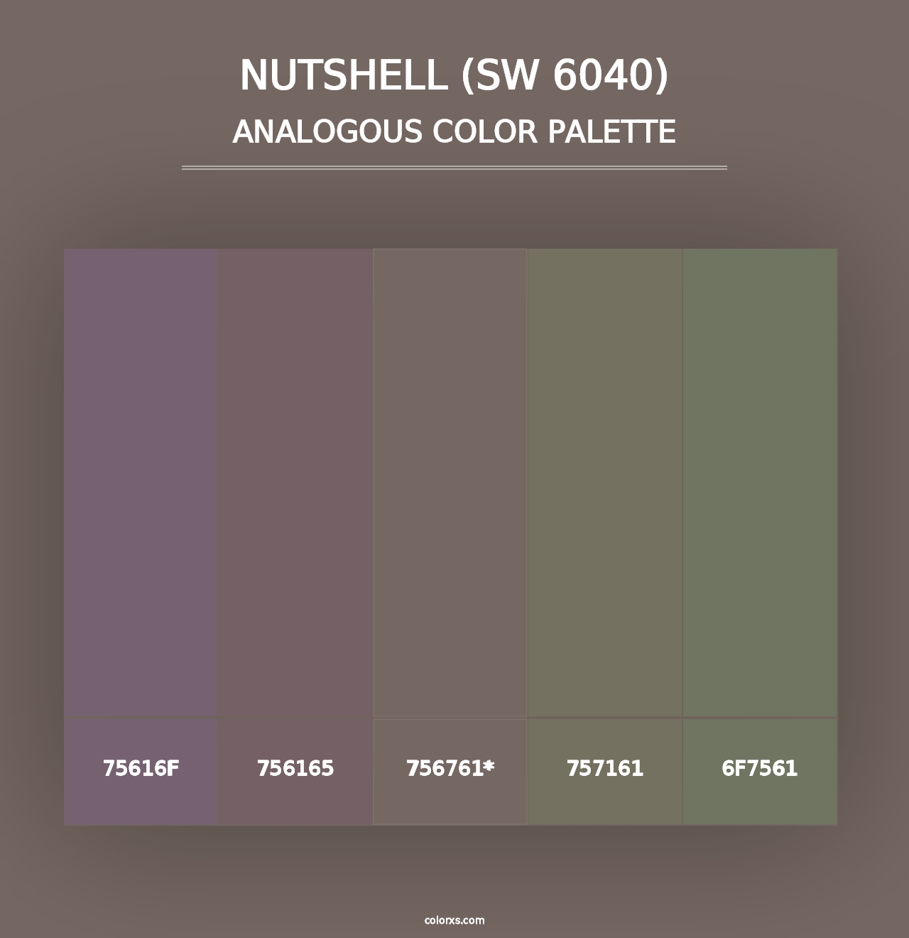 Nutshell (SW 6040) - Analogous Color Palette