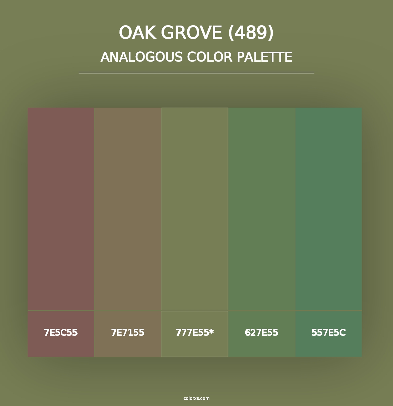 Oak Grove (489) - Analogous Color Palette