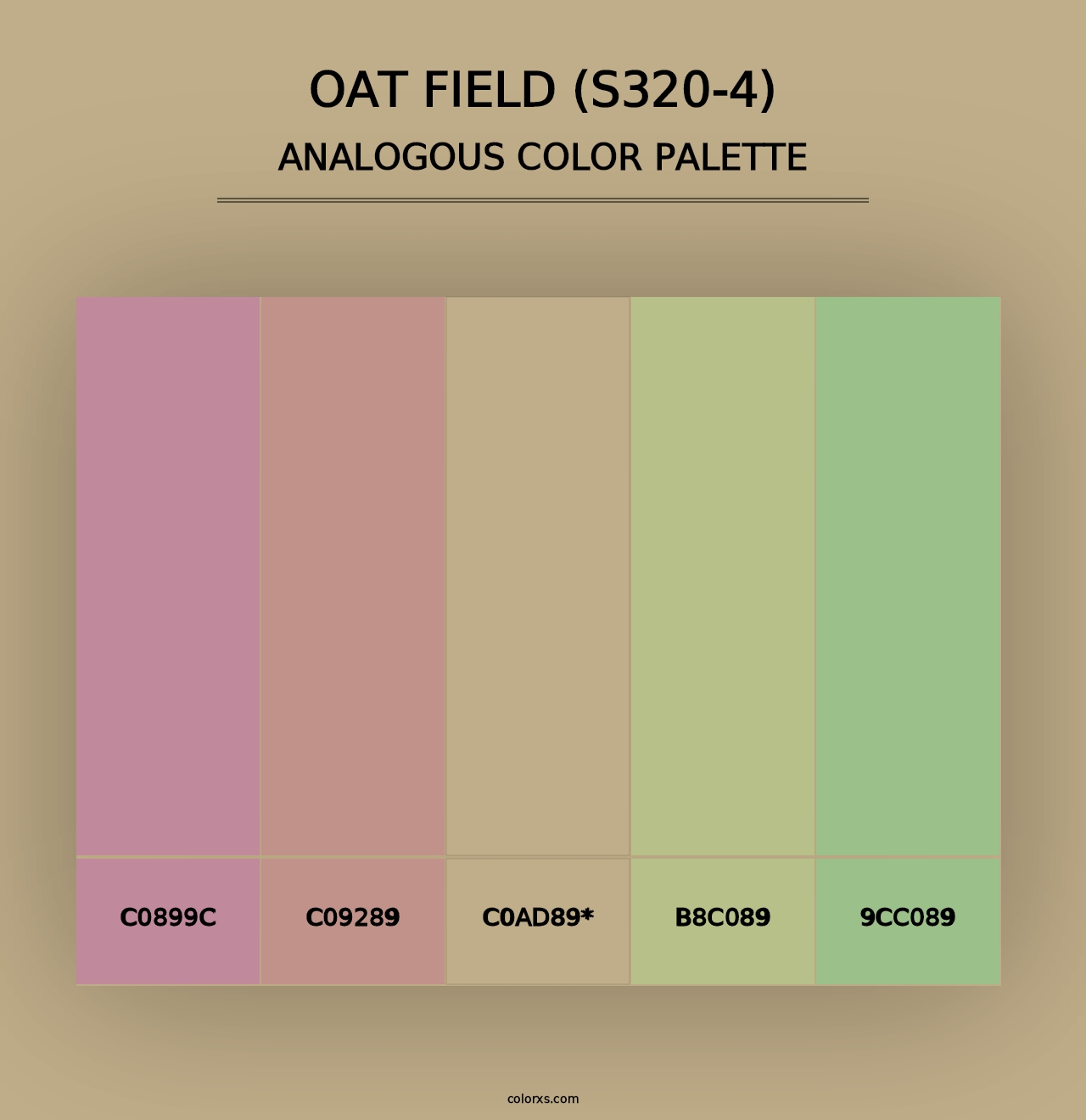 Oat Field (S320-4) - Analogous Color Palette