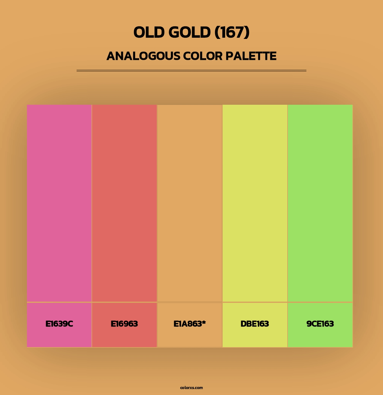 Old Gold (167) - Analogous Color Palette