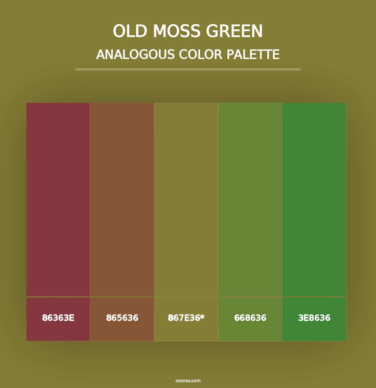 Old Moss Green - Analogous Color Palette