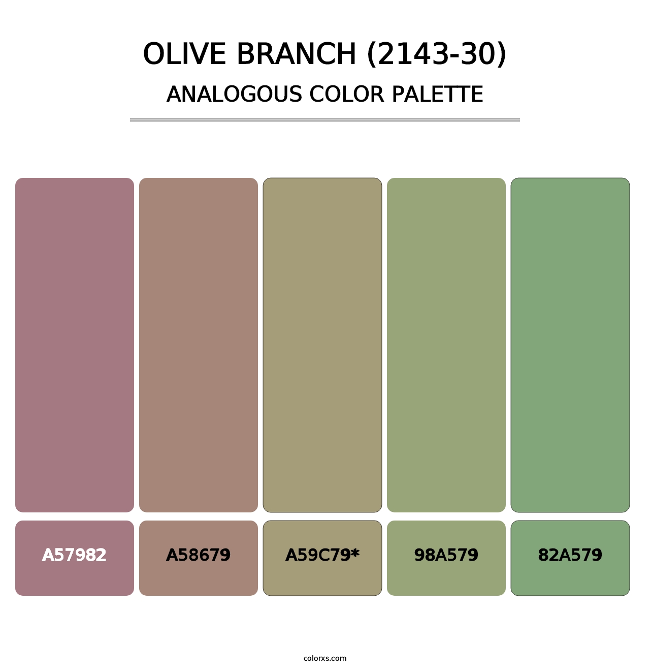 Olive Branch (2143-30) - Analogous Color Palette