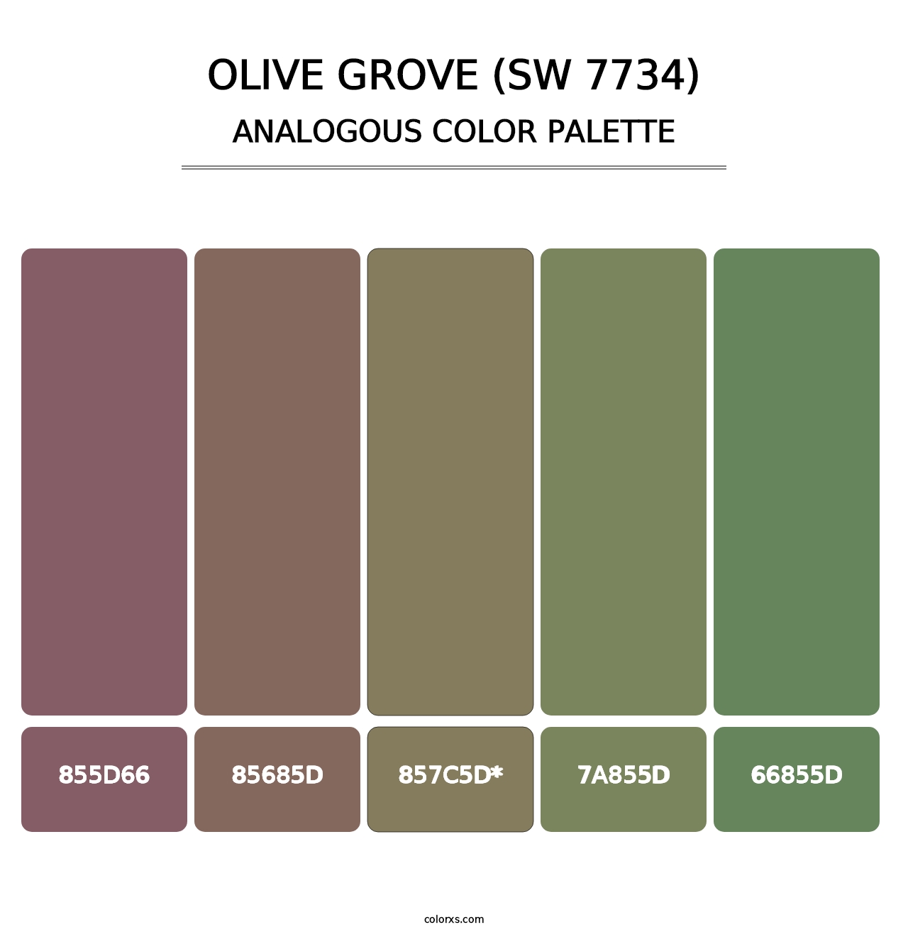 Olive Grove (SW 7734) - Analogous Color Palette