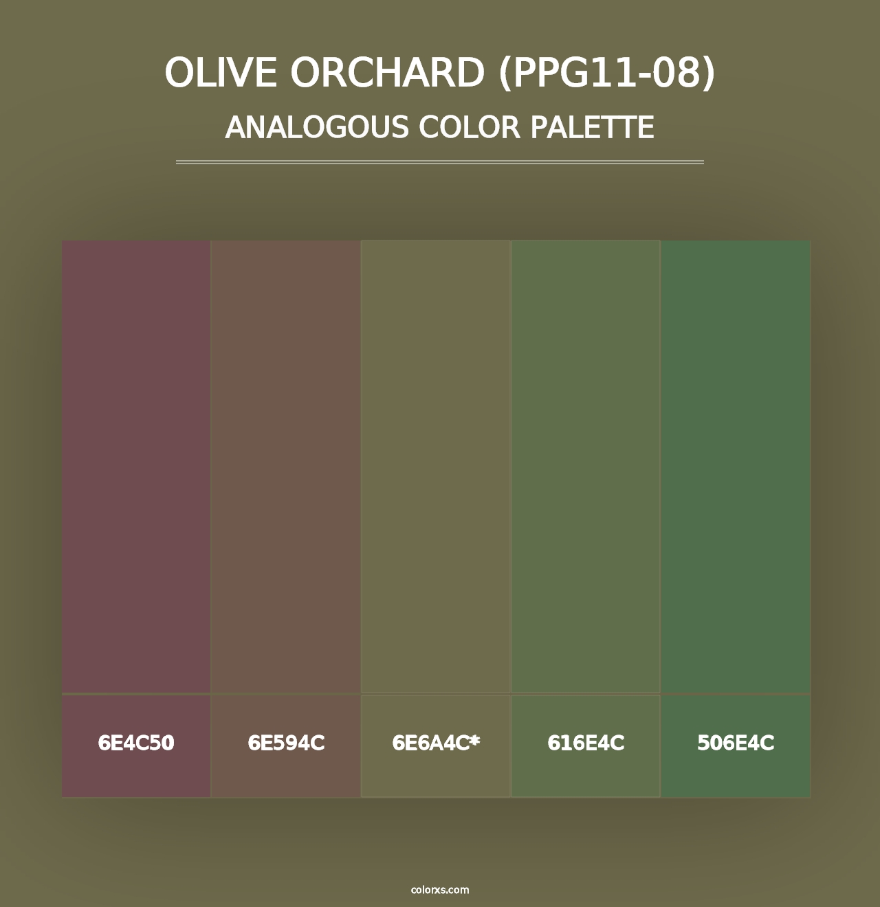 Olive Orchard (PPG11-08) - Analogous Color Palette