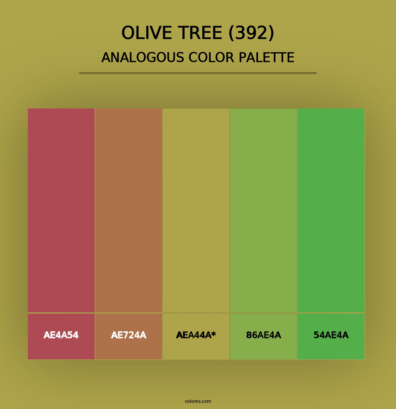 Olive Tree (392) - Analogous Color Palette