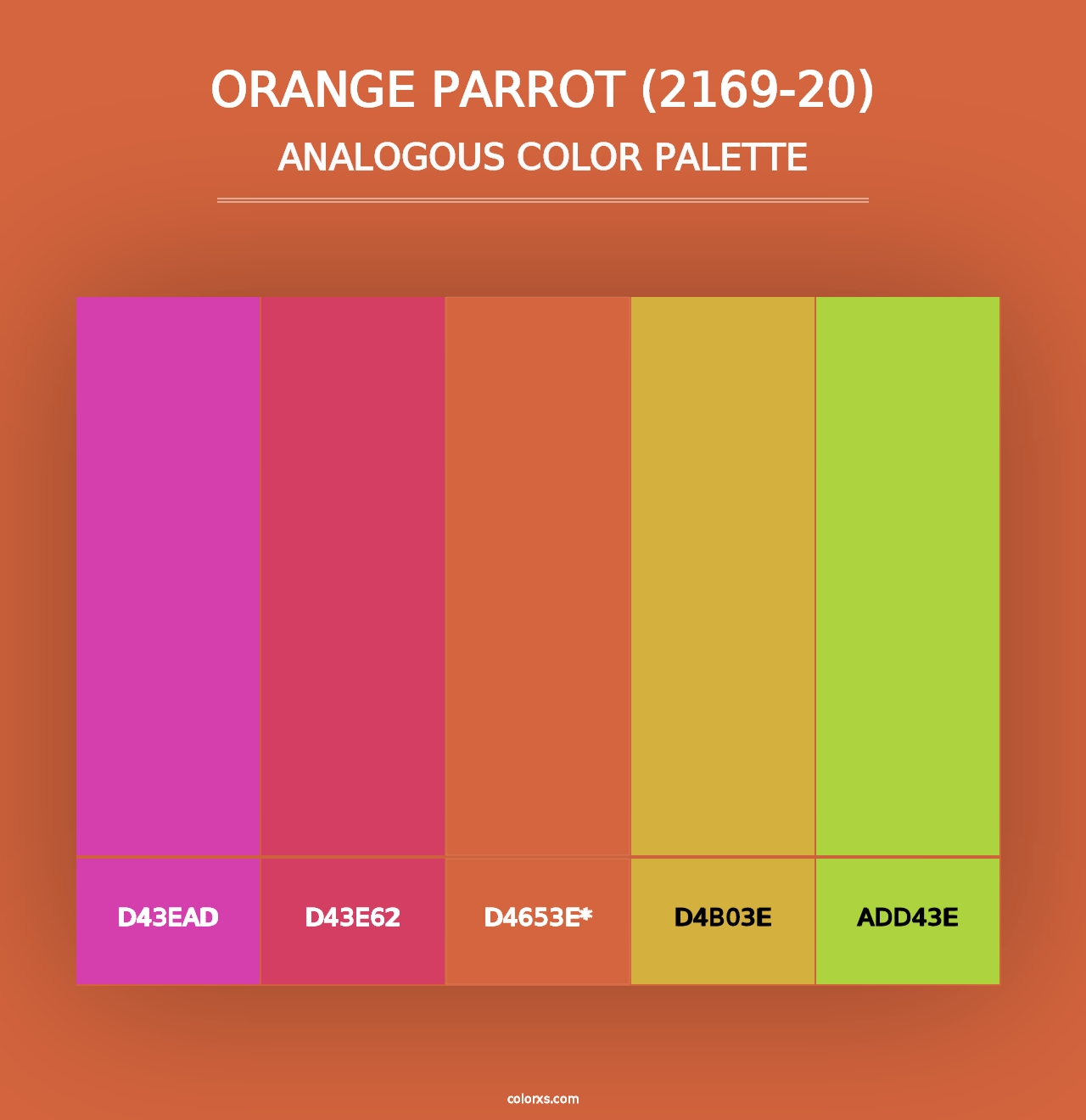 Orange Parrot (2169-20) - Analogous Color Palette