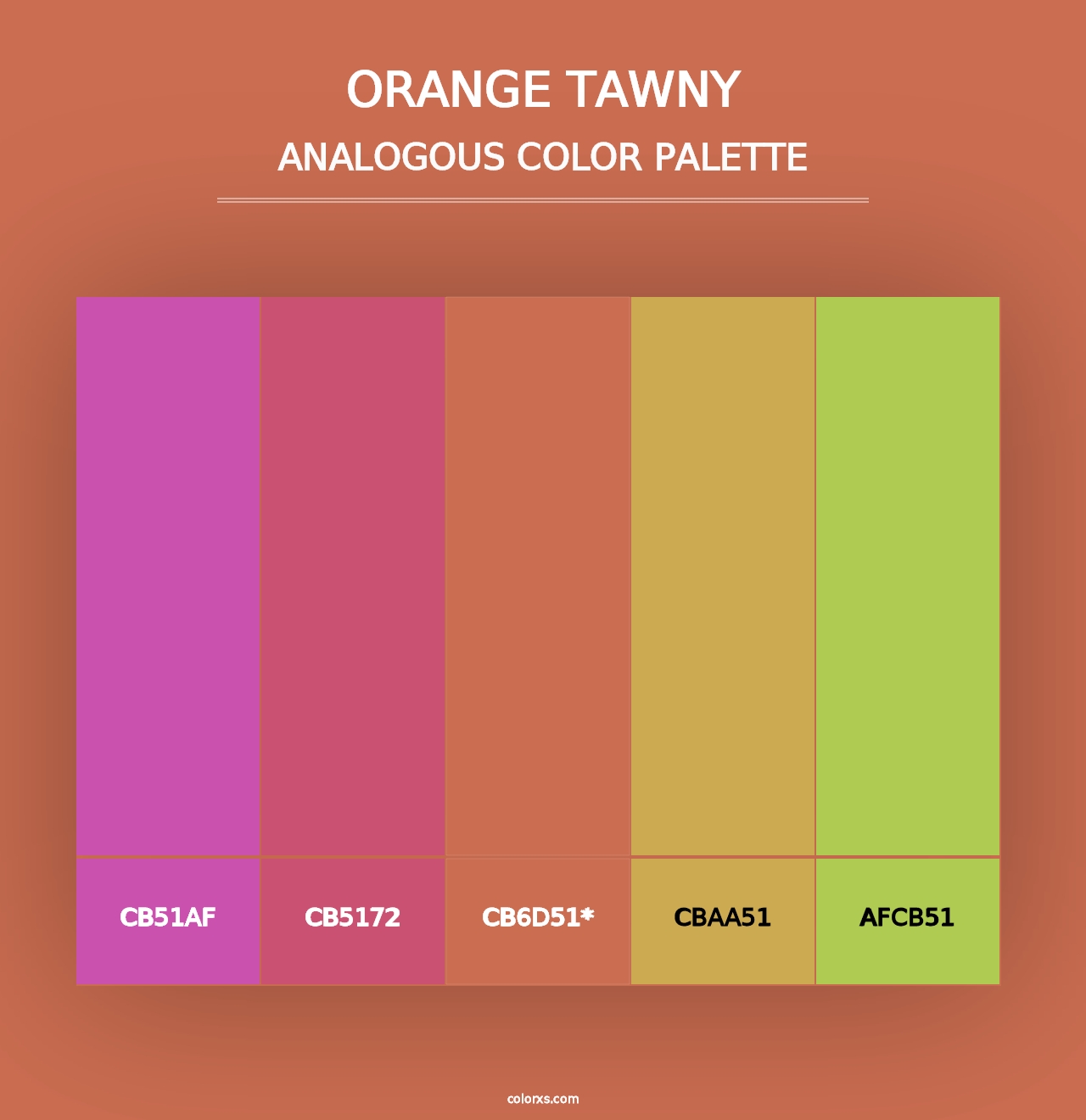 Orange Tawny - Analogous Color Palette