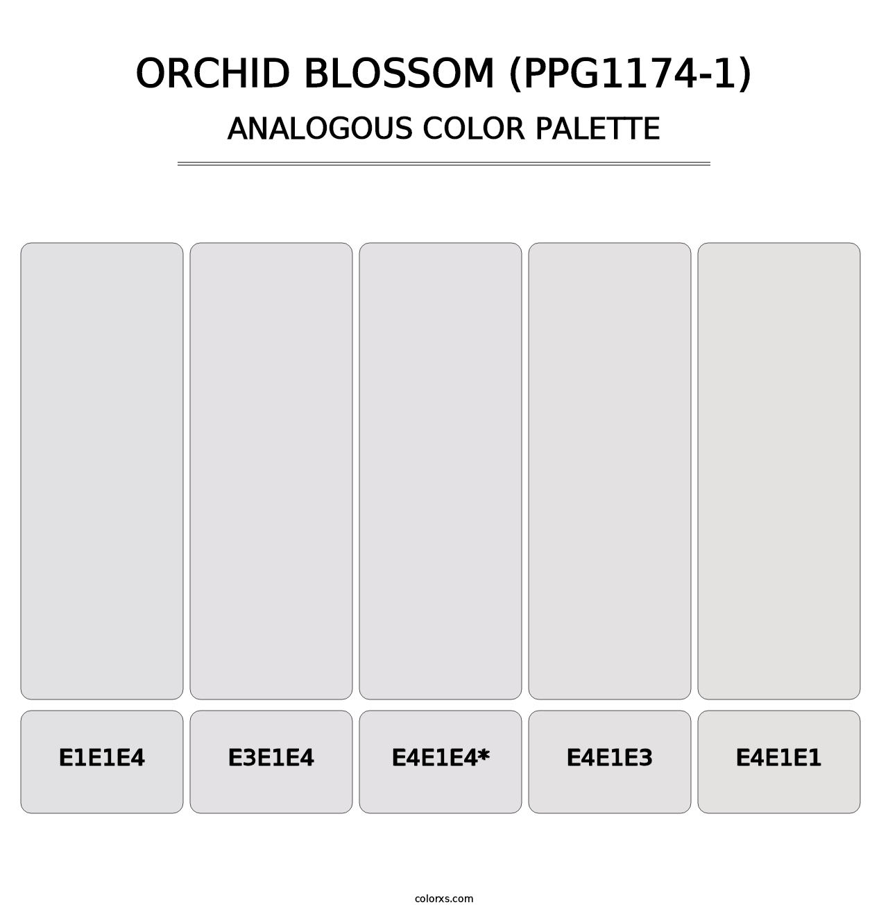 Orchid Blossom (PPG1174-1) - Analogous Color Palette